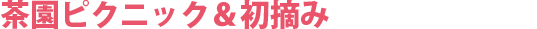 茶園ピクニック＆初摘み