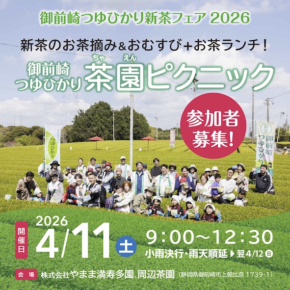 新茶の初摘み体験&ランチ｜御前崎つゆひかり茶園ピクニック2026 参加者募集