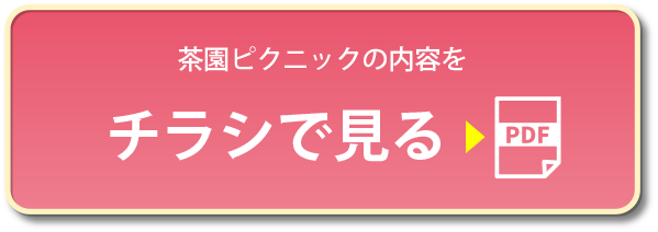 茶園ピクニックの内容をチラシで⾒る