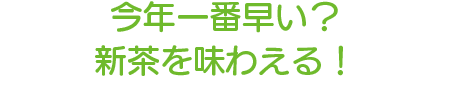 今年⼀番早い？新茶を味わえる！