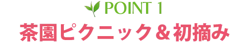 POINT1 茶園ピクニック＆初摘み