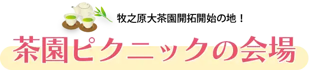 牧之原大茶園開拓開始の地！茶園ピクニックの会場