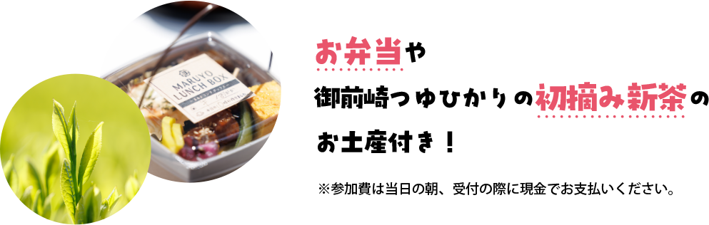 お弁当・御前崎つゆひかり初摘み新茶のお土産付き