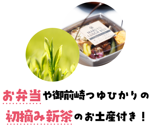 お弁当・御前崎つゆひかり初摘み新茶のお土産付き